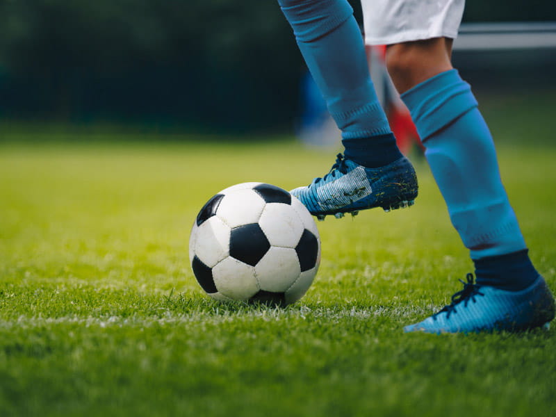 apa itu agen judi bola